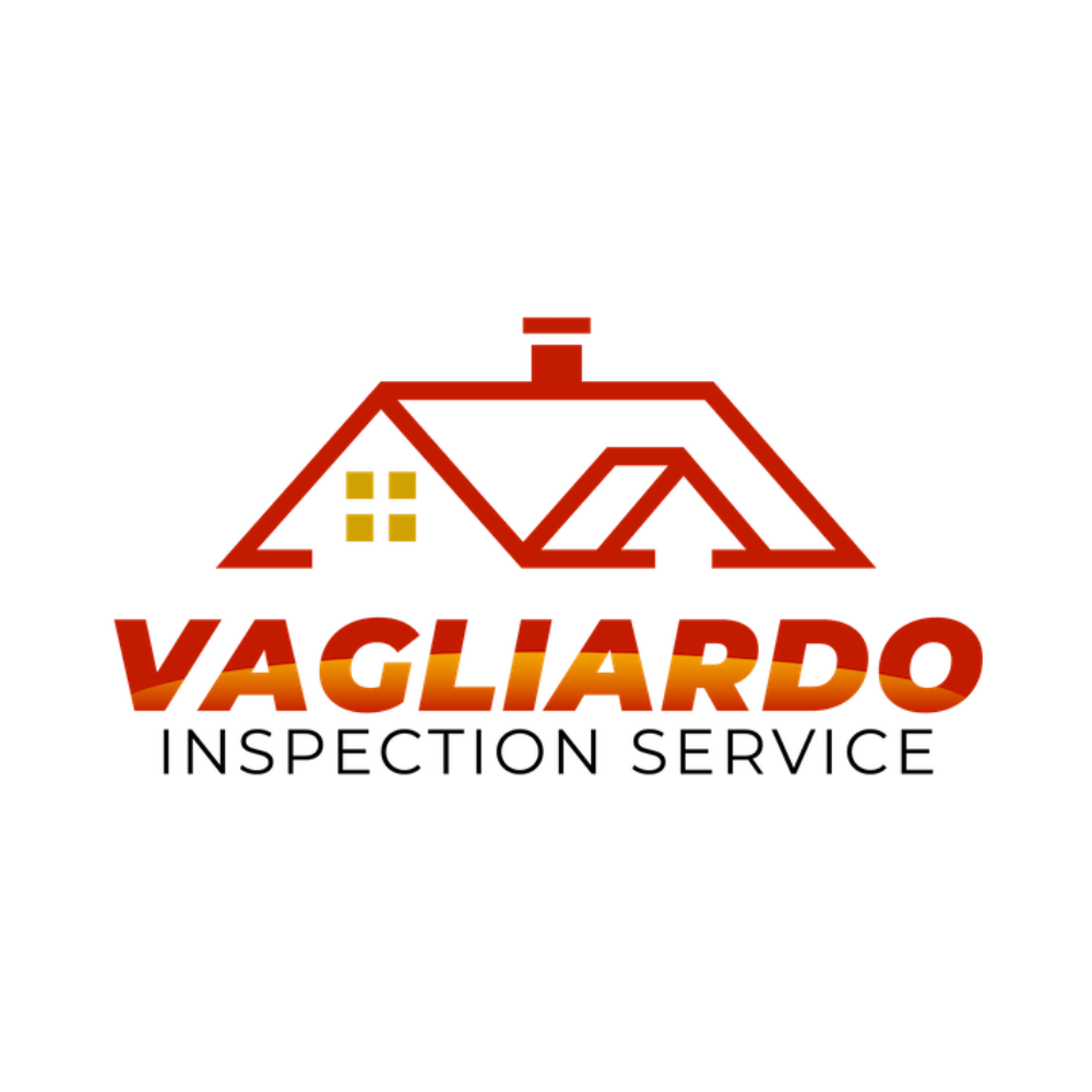 Portrait of John Vagliardo